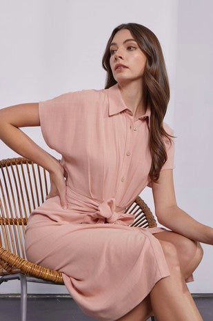 Better this way dress in Blush